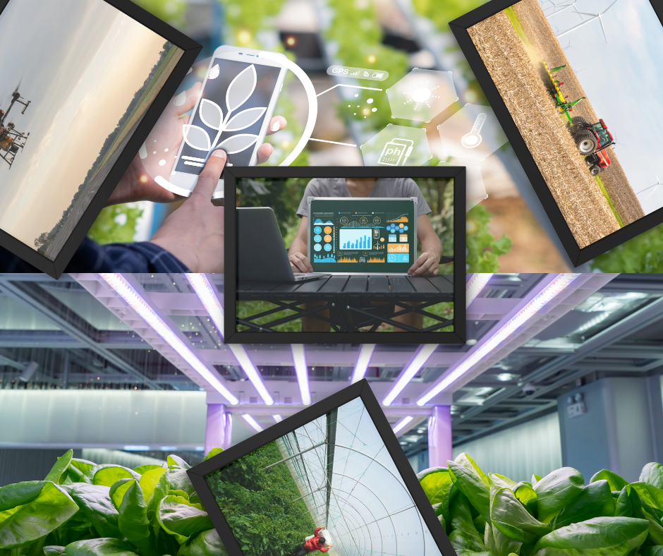 red and white vintage newspaper rome travel poster (4)