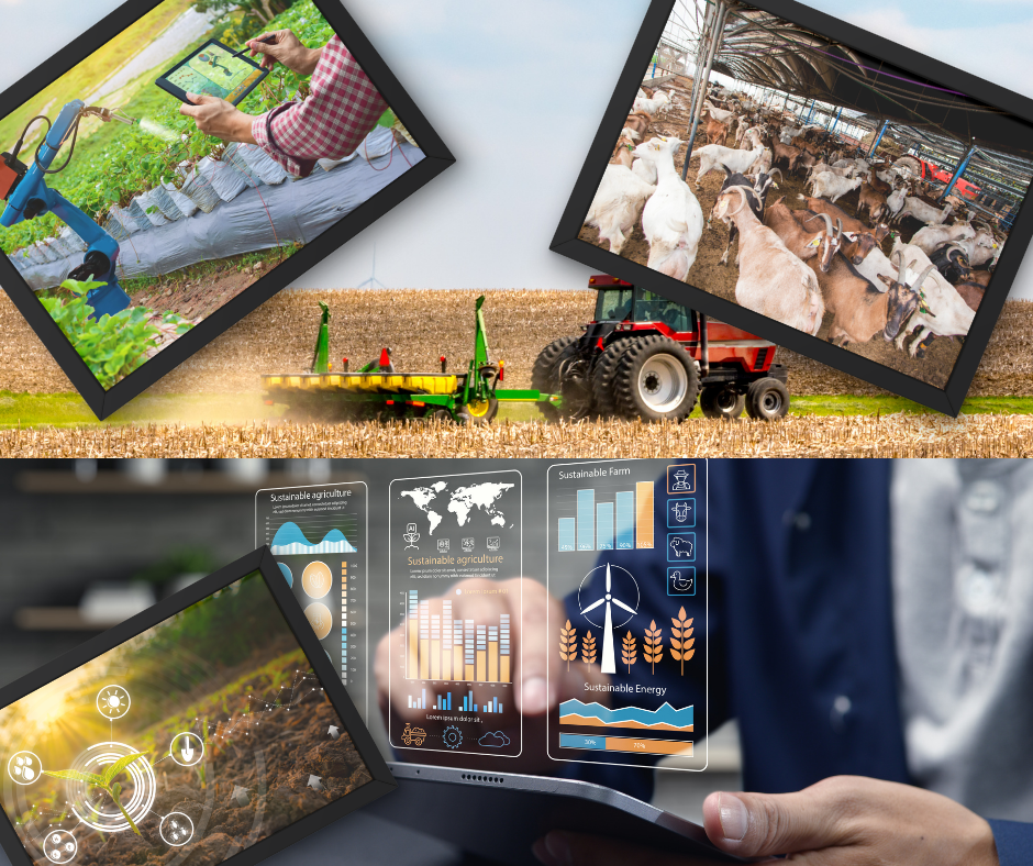 red and white vintage newspaper rome travel poster (5)