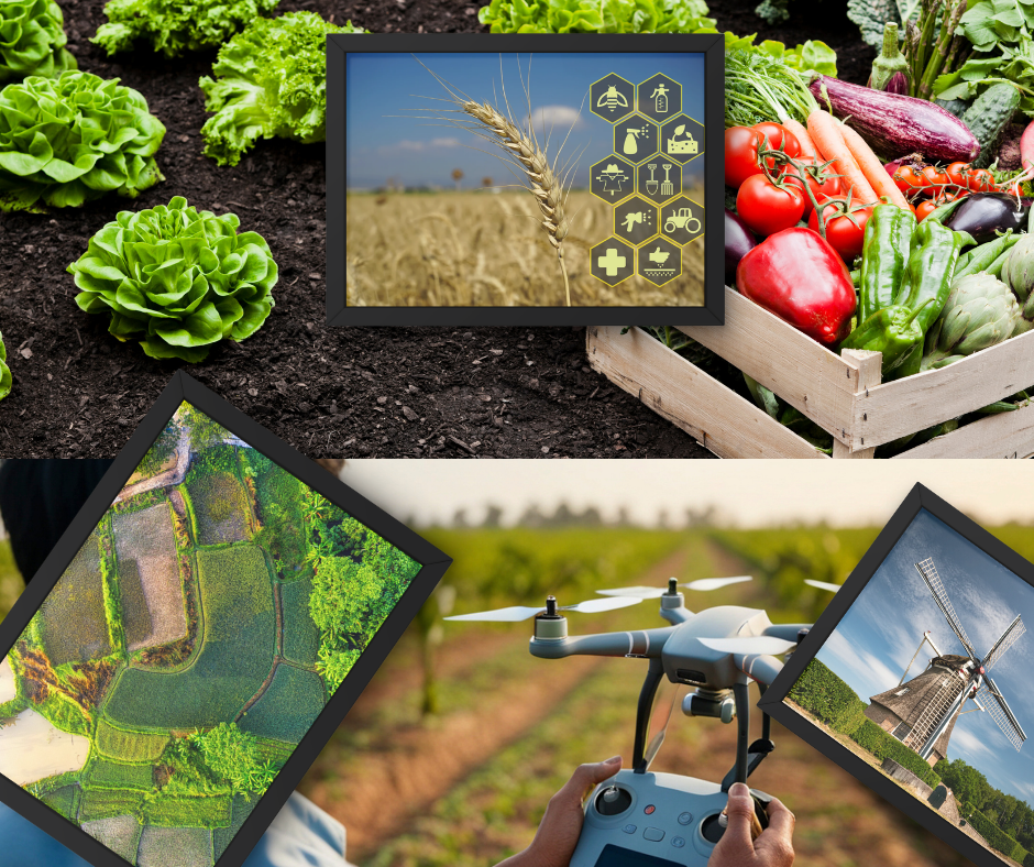 red and white vintage newspaper rome travel poster (6)