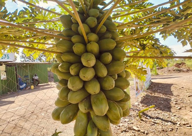 screenshot 2026 04 10 124246