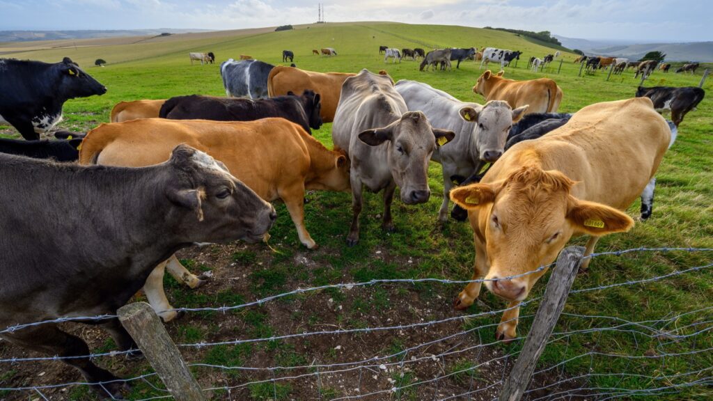 c0fdc6b4 a3a2 4a57 92cc 52a5f8373ce4