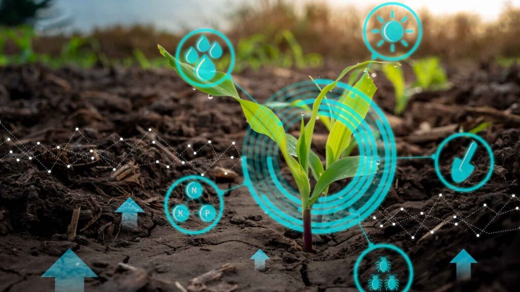 towards a greener future biofuel production