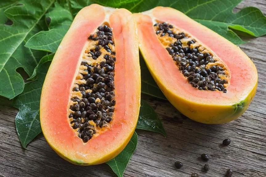 www yates com au pr tn fruit pawpaw